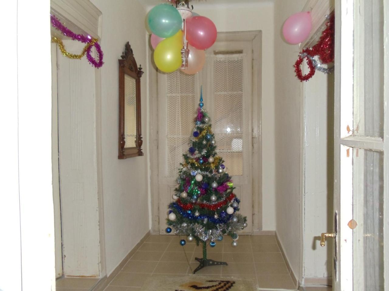Kaktus Villa Kaluderovo Luaran gambar